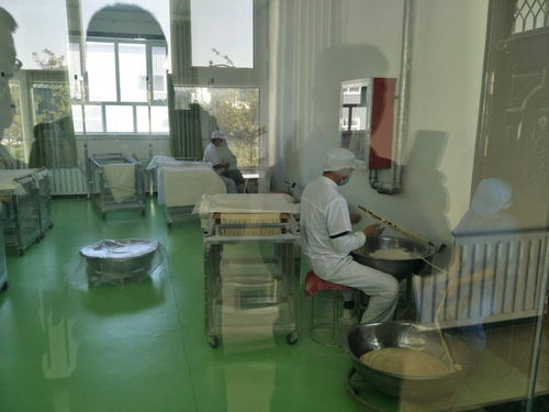 互观互学促交流 研讨借鉴助提升——西吉尔镇组织‘访惠聚’工作队队长与村党支部书记外出观摩学习农产品发展经验