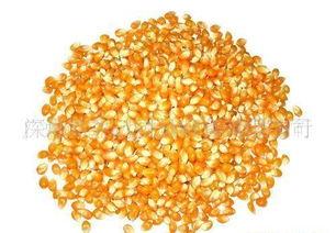 从玉米到美食 爆米花机与相关设备全解析