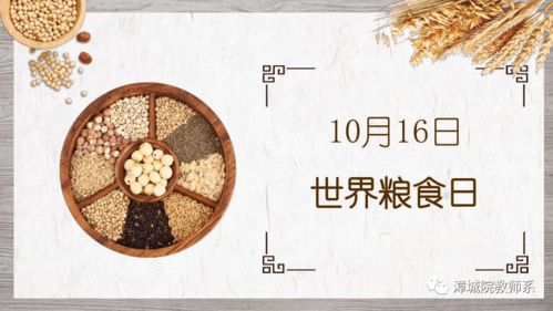 世界粮食日 一粒一粟总关情，人人可为守护者