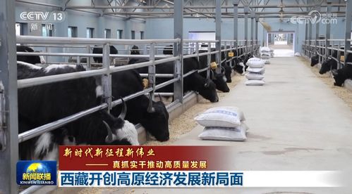 西藏开创高原经济发展新局面 筑牢粮食安全基石，激活绿色增长引擎