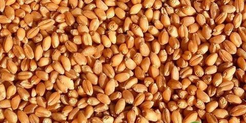 浙江省农业农村厅等五部门联合部署 切实抓好2021年粮油生产工作