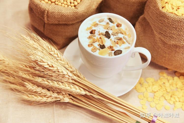 粮食的杠杆 枪炮、病菌与钢铁背后的终极驱动力