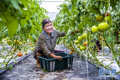 旅游+电商 粮食产品的双翼腾飞